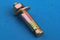 Bolt Anchor